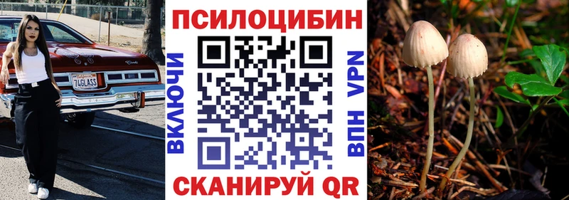 хочу   Малгобек  Псилоцибиновые грибы Magic Shrooms 