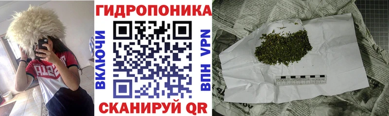 Канабис MAZAR  Малгобек 